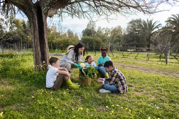 Hotel Fazenda com Bebês Turismo Rural Seguro e Aconchegante para Famílias